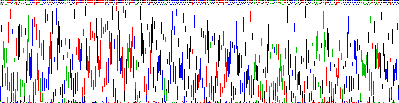 Recombinant VGF Nerve Growth Factor Inducible (VGF)