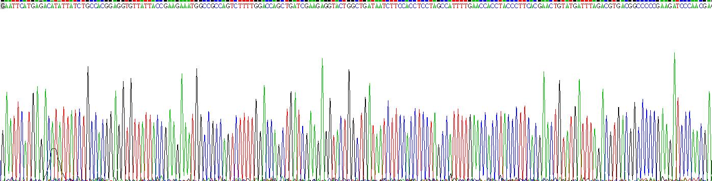 Recombinant Early Region 1A Protein (E1A)