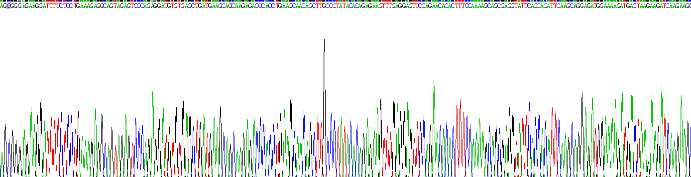 Recombinant Taxilin Alpha (TXLNa)