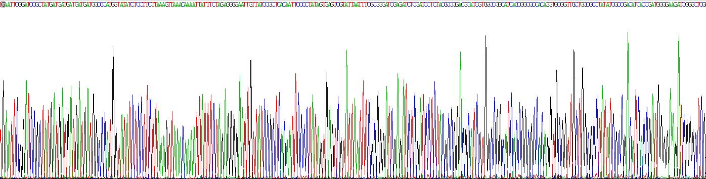 Recombinant Glucose Transporter 1 (GLUT1)