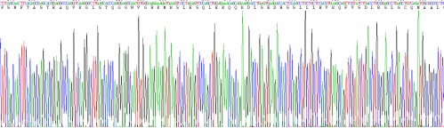 Recombinant Asialoglycoprotein Receptor 1 (ASGR1)