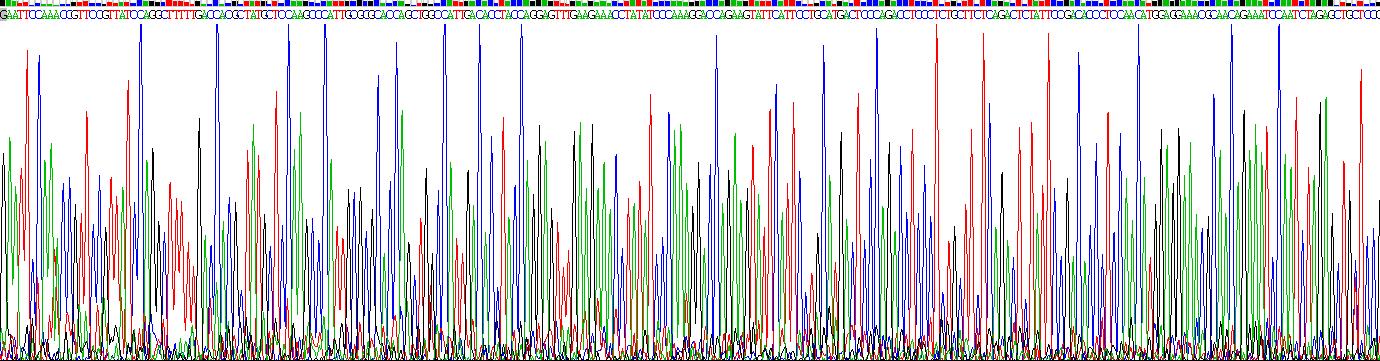 Recombinant Placental Lactogen (PL)