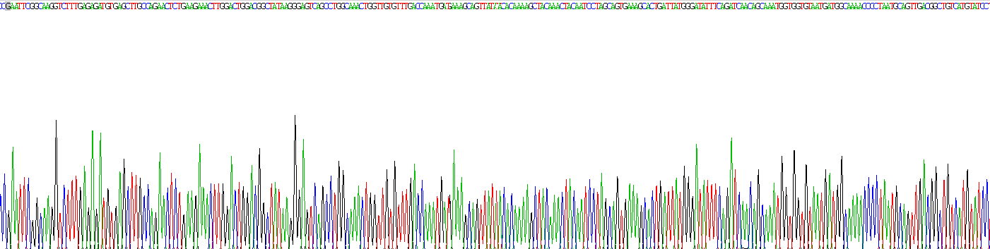 Recombinant Lysozyme (LZM)