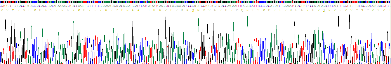 Recombinant Glia Maturation Factor Gamma (GMFg)