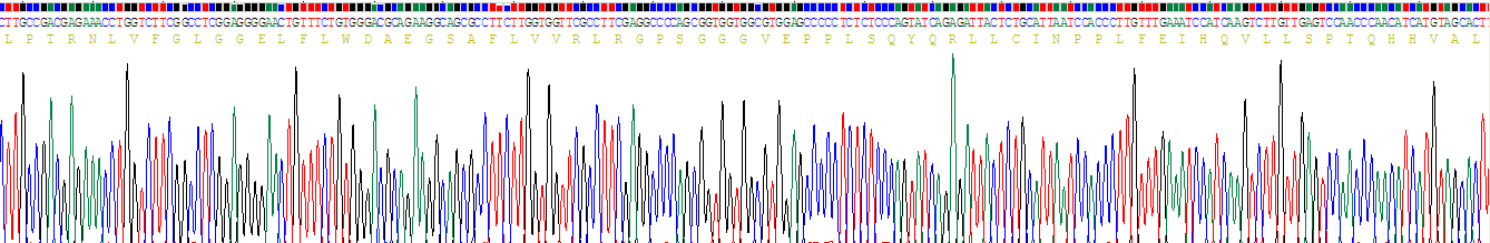 Recombinant Nucleoporin 88 (NUP88)