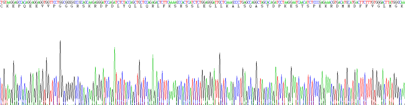 Recombinant Neurokinin B (NKB)