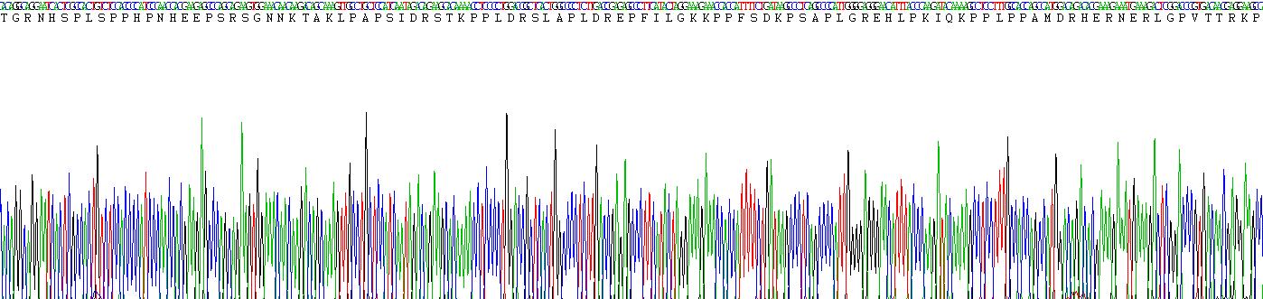 Recombinant Lymphocyte Cytosolic Protein 2 (LCP2)