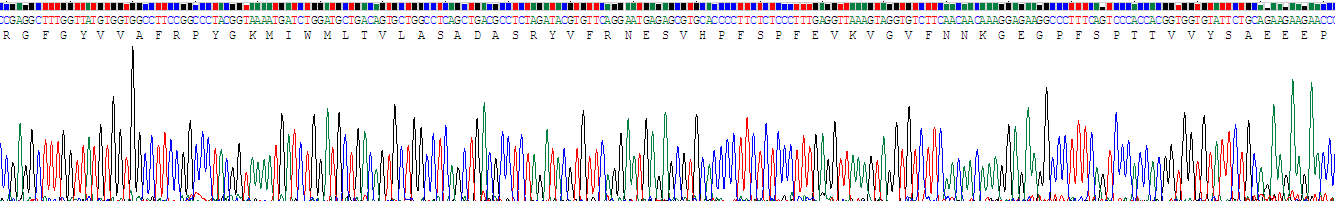 Recombinant Contactin 4 (CNTN4)