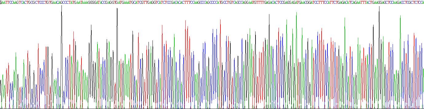 Recombinant Chromogranin A (CHGA)