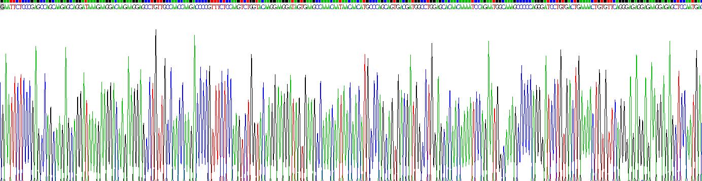 Recombinant Cholinergic Receptor, Muscarinic 2 (CHRM2)