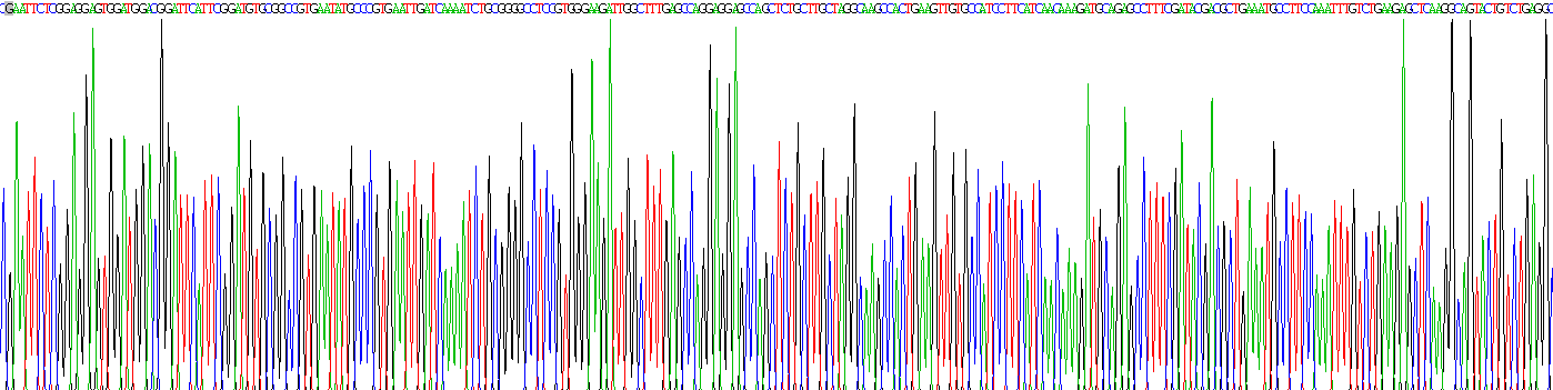 Recombinant Relaxin (RLN)