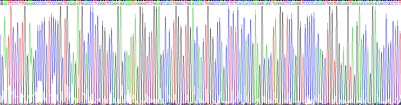 Recombinant Gastrin (GT)