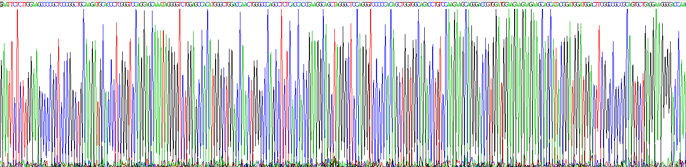 Recombinant Gastrin (GT)