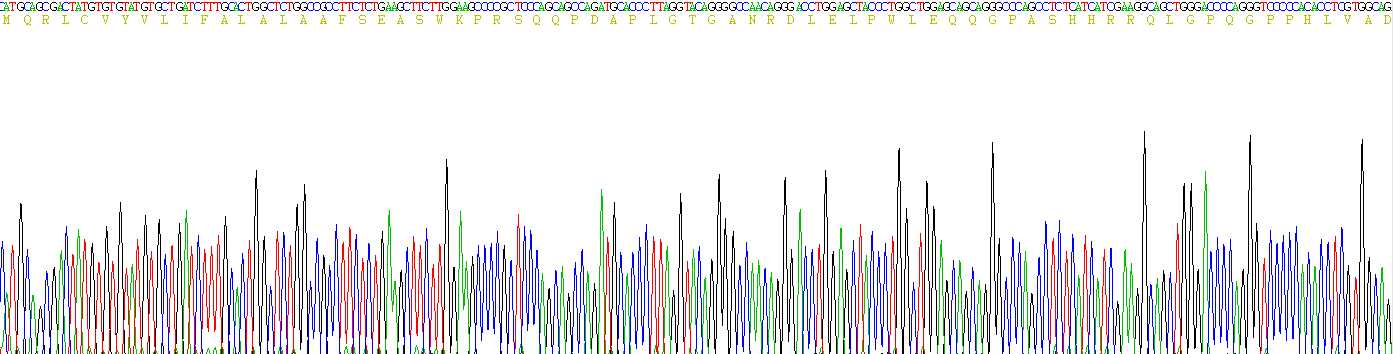 Recombinant Gastrin (GT)