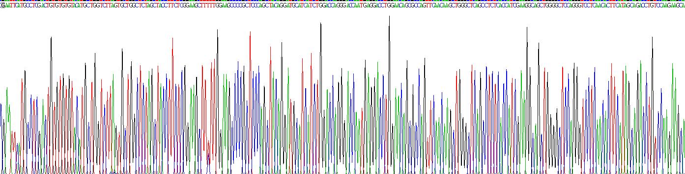 Recombinant Gastrin (GT)