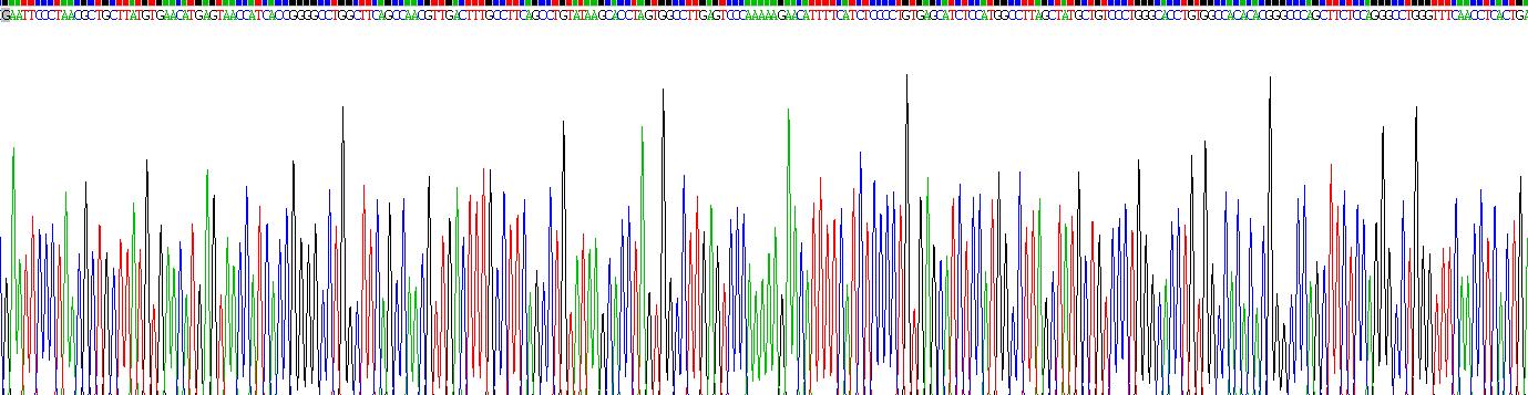 Recombinant Corticosteroid Binding Globulin (CBG)