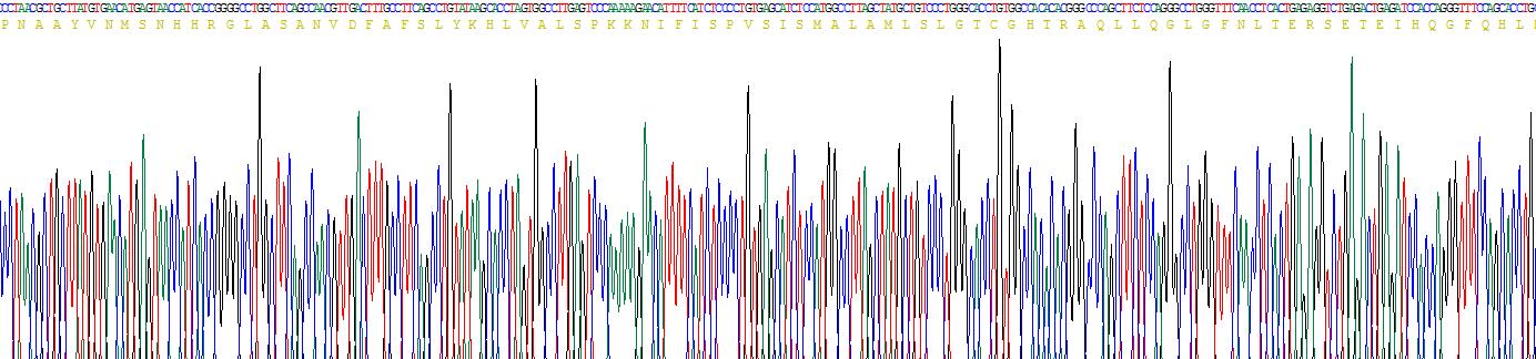 Recombinant Corticosteroid Binding Globulin (CBG)