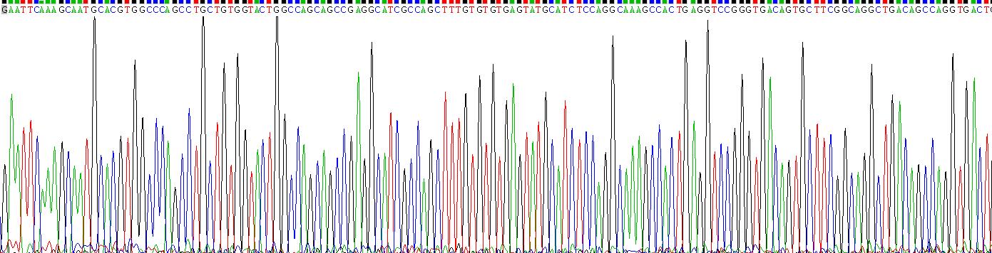 Recombinant Cytotoxic T-Lymphocyte Associated Antigen 4 (CTLA4)