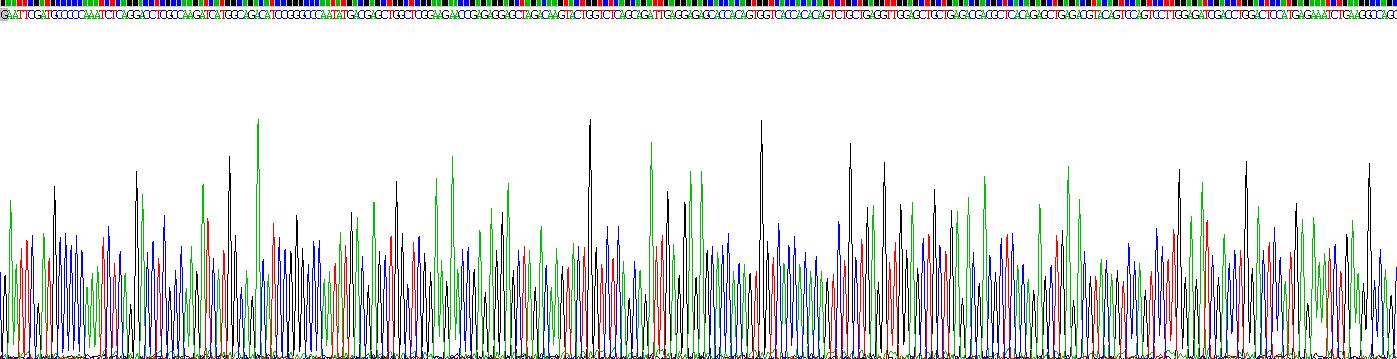 Recombinant Cytokeratin 18 (CK18)