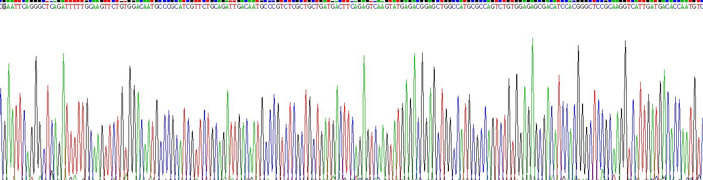 Recombinant Cytokeratin 18 (CK18)