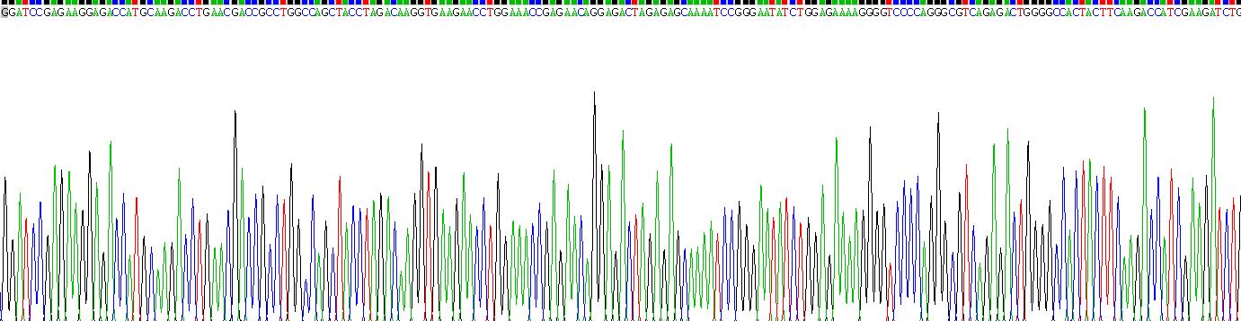 Recombinant Cytokeratin 18 (CK18)