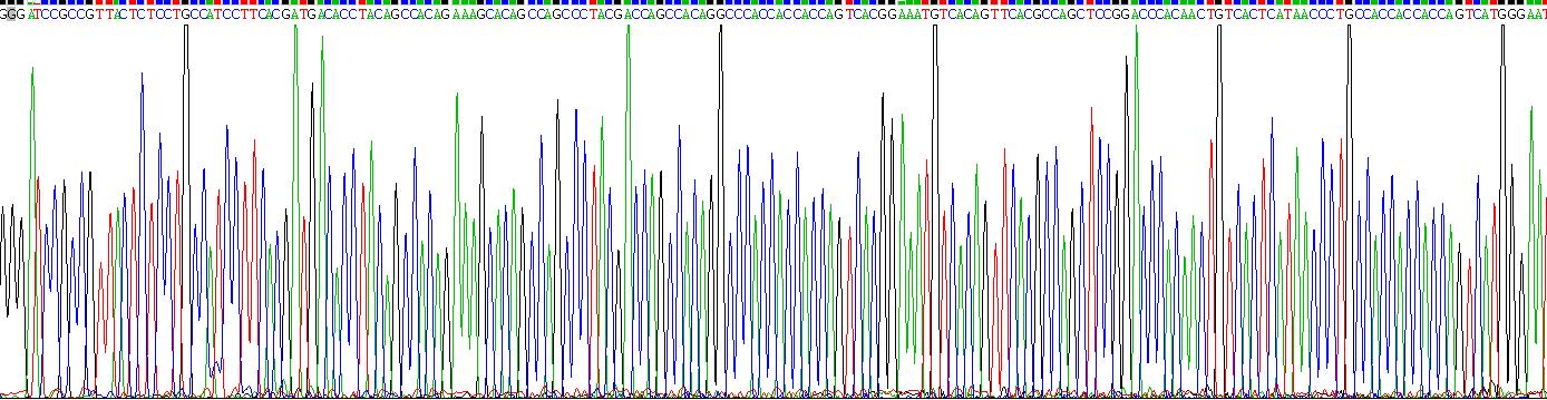 Recombinant Scavenger Receptor Class D Member 1 (SCARD1)