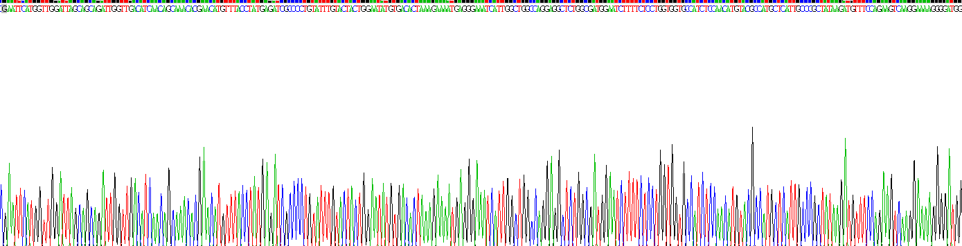 Recombinant Glutamate Decarboxylase 2 (GAD2)