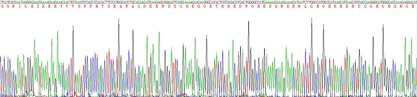 Recombinant Kininogen 1 (KNG1)