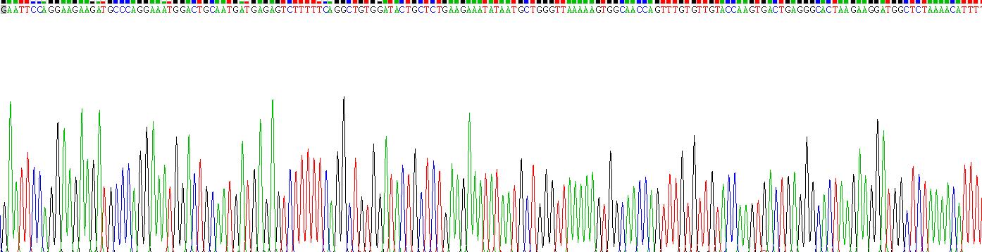 Recombinant Kininogen 1 (KNG1)