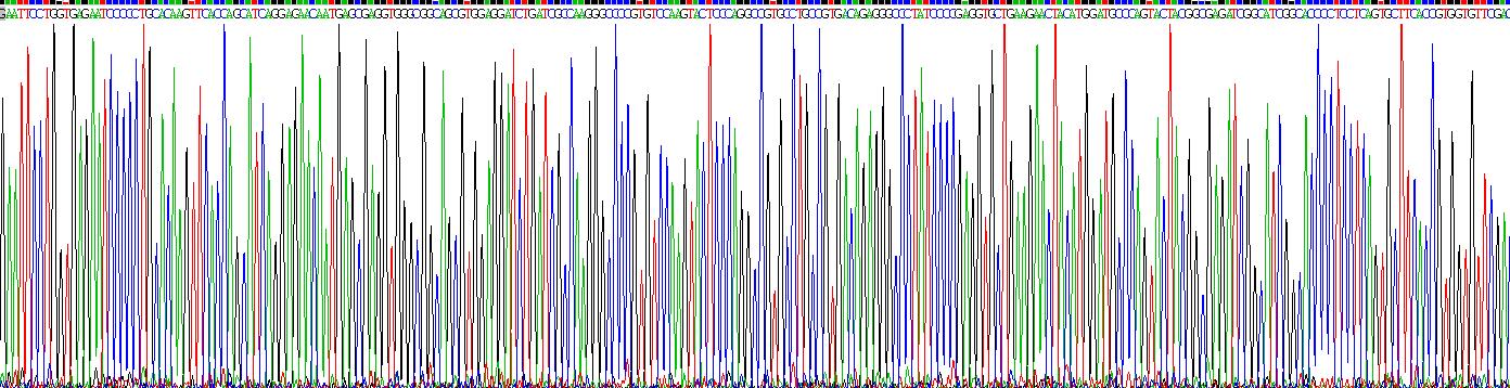 Recombinant Cathepsin D (CTSD)