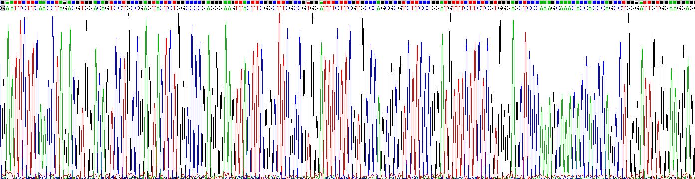 Recombinant Integrin Alpha V (ITGaV)