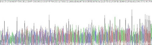 Recombinant Epithelial Cell Adhesion Molecule (EPCAM)