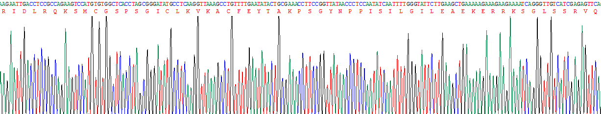 Recombinant Integrin Alpha 6 (ITGa6)