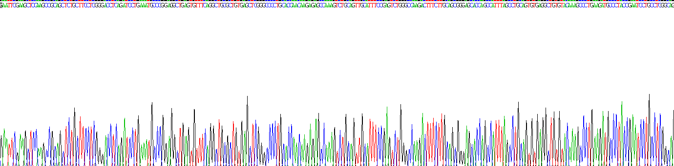 Recombinant Integrin Alpha 5 (ITGa5)