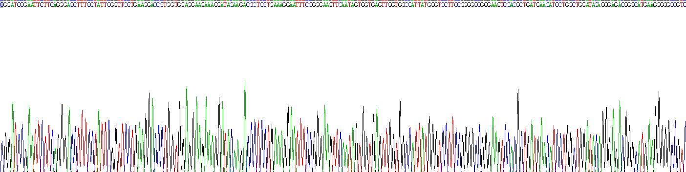 Recombinant ATP Binding Cassette Transporter G1 (ABCG1)