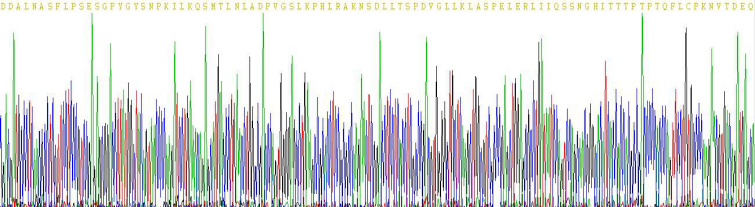 Recombinant V-Jun Sarcoma Virus 17 Oncogene Homolog (JUN)