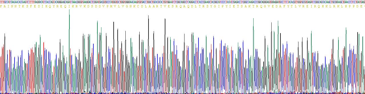 Recombinant V-Ha-Ras Harvey Rat Sarcoma Viral Oncogene Homolog (HRAS)