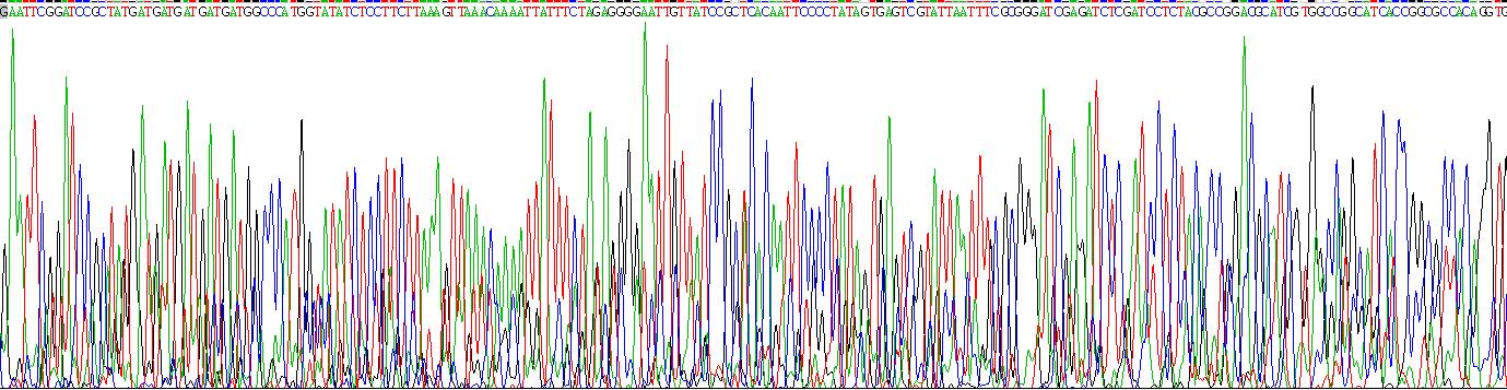 Recombinant Agouti Related Protein (AGRP)