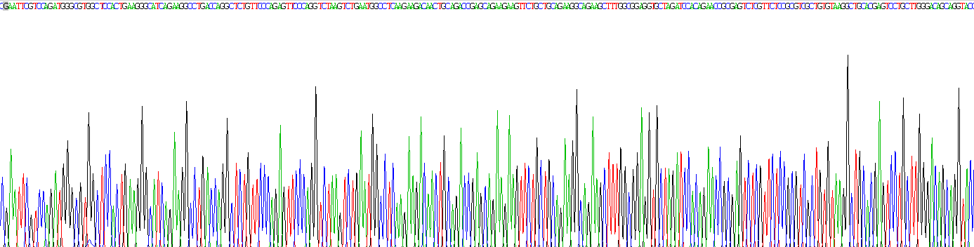 Recombinant Agouti Related Protein (AGRP)