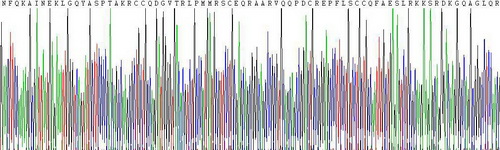 Recombinant Complement C4-B (C4B)