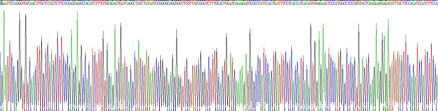 Recombinant Complement C4-B (C4B)