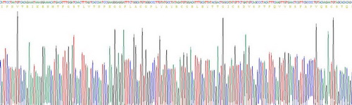 Recombinant Integrin Alpha 1 (ITGa1)