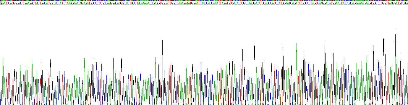 Recombinant Microtubule Associated Protein 4 (MAP4)