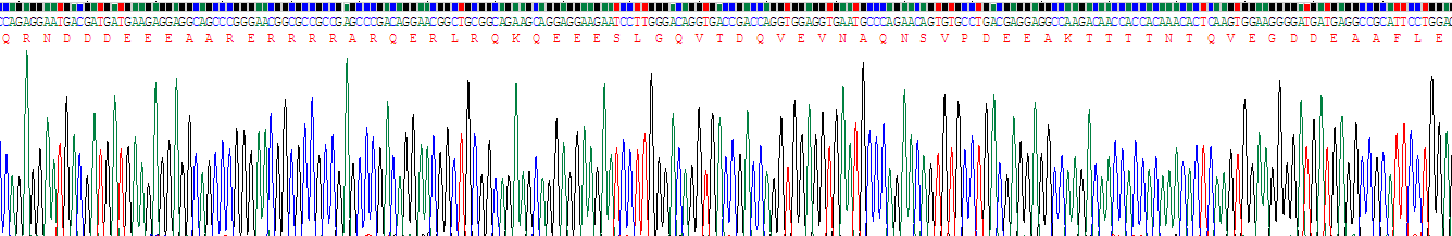 Recombinant Caldesmon (CALD)