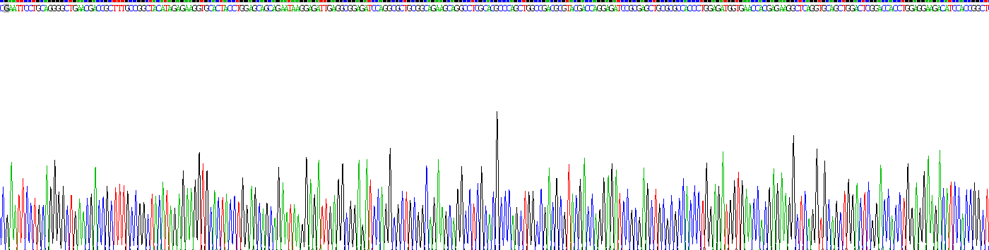 Recombinant Neurofilament 3 (NEF3)