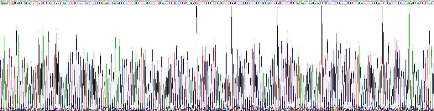 Recombinant Neurofilament 3 (NEF3)