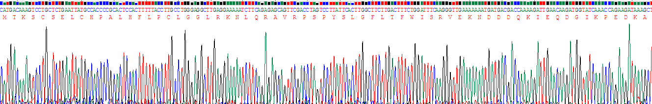 Recombinant Growth Associated Protein 43 (GAP43)