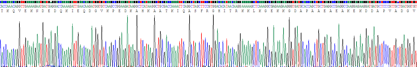 Recombinant Growth Associated Protein 43 (GAP43)