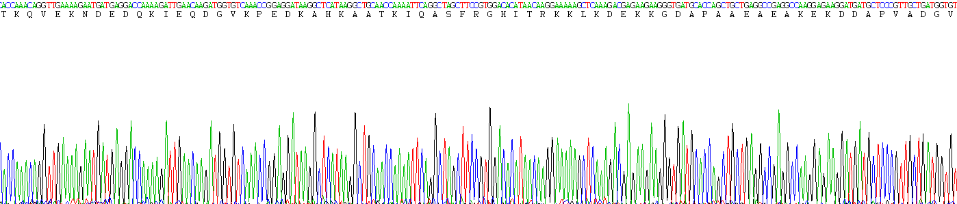 Recombinant Growth Associated Protein 43 (GAP43)