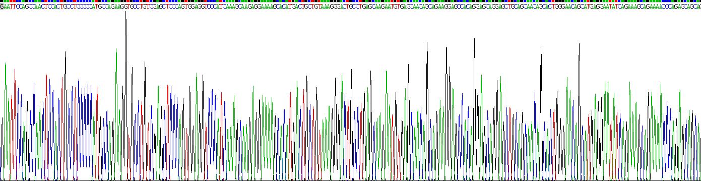 Recombinant Involucrin (INV)